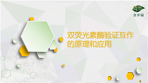 丁香实验推荐阅读