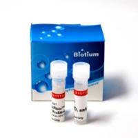 ViaFluor™ 405-SE 细胞增殖试剂盒 30068