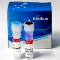 活细菌革兰氏染色试剂盒 - 200 assays 32000-1