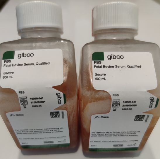 Gibco【10099141】澳洲胎牛血清 Fetal Bovine Serum, qualified, Australia（量大优惠！常备现货!）