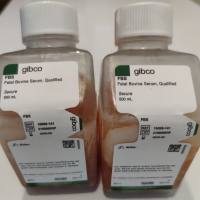 Gibco【10099141】澳洲胎牛血清 Fetal Bovine Serum, qualified, Australia（量大优惠！常备现货!）
