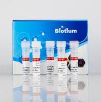 Live-or-Dye™ 787/808 固定活性染色试剂盒, Trial Size (50 assays) 32011-T