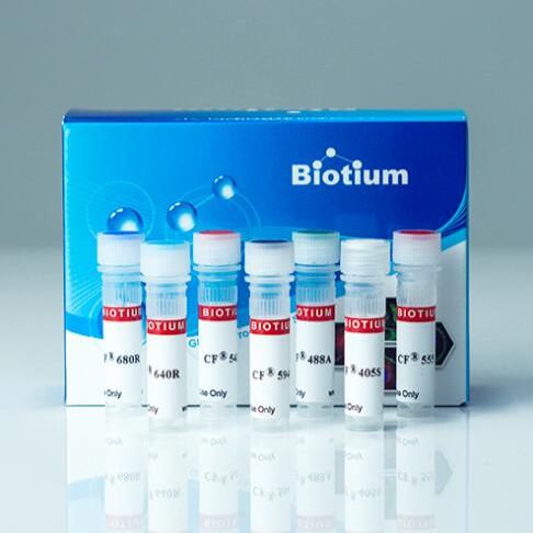 CF405S 山羊抗小鼠 IgG (H+L), 高度交叉吸附 (min X Rat), 2 mg/mL Biotium 20830-1mg