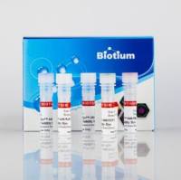 Live-or-Dye™665/685 固定活性染色试剂盒,200 assays 32013