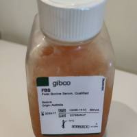 Gibco【10099141C 】澳洲胎牛血清 Fetal Bovine Serum, qualified, Australia（量大优惠！常备现货!）