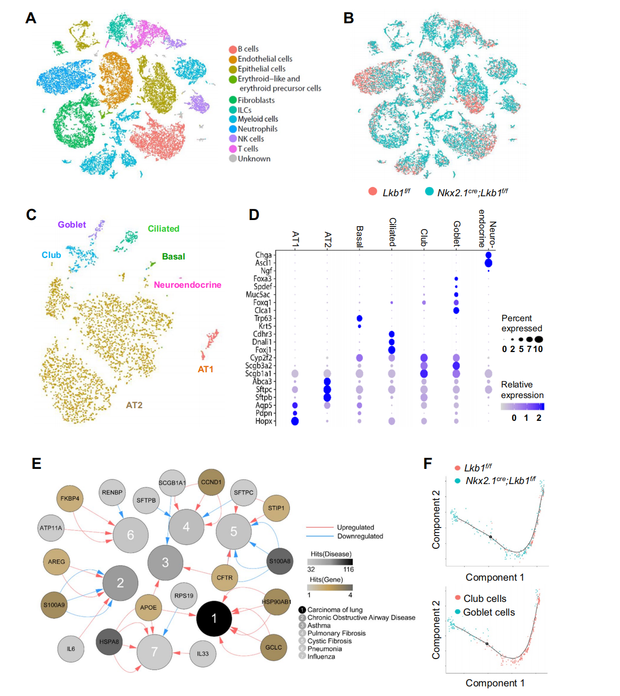 欧易单细胞测序助力解析气道goblet cell化生新机制_公司新闻_丁香通