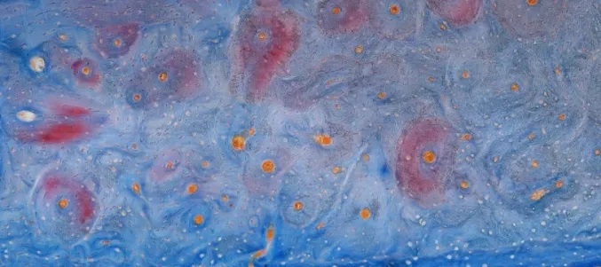 寻境——生命之美显微摄影艺术