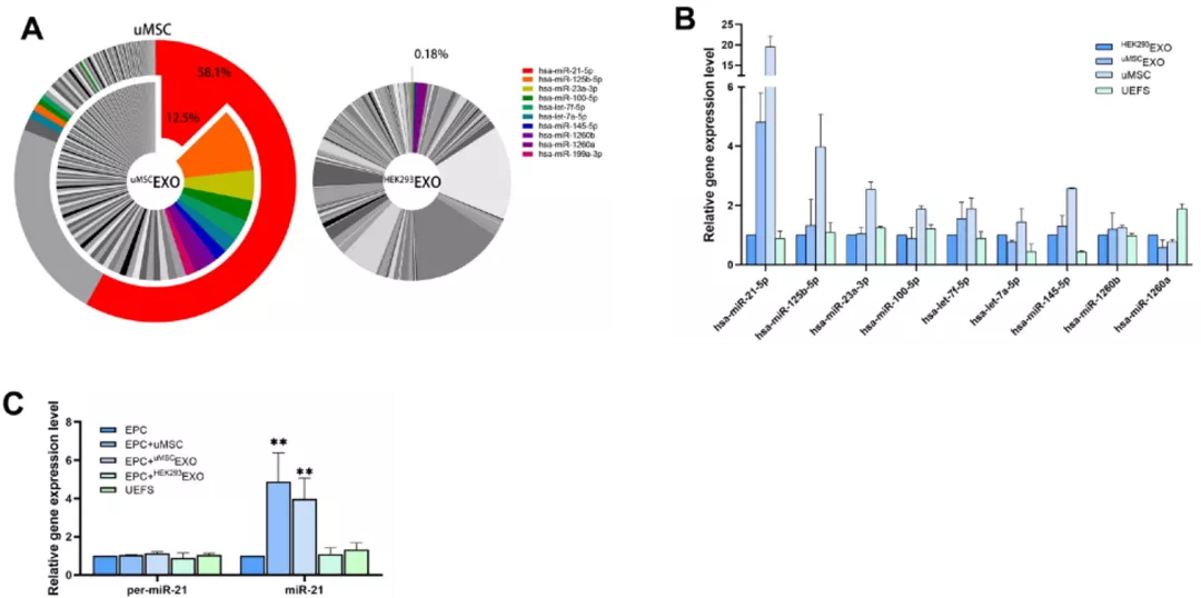技术资料图片12