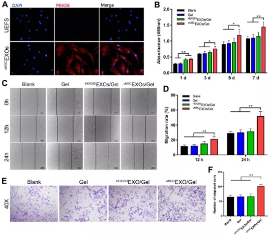 技术资料图片10