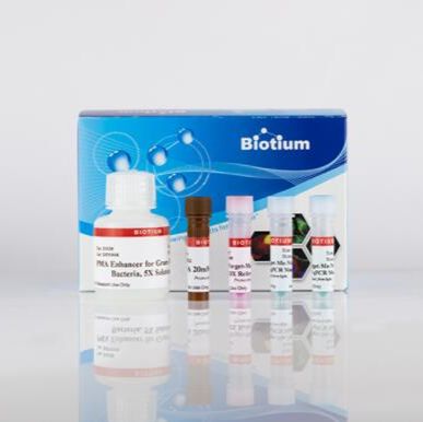 活性PCR起始试剂盒xx™ dye,200 assays 31075-X