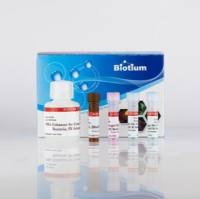 活性PCR起始试剂盒xx™ dye,200 assays 31075-X