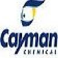 间充质干细胞成软骨诱导分化试剂盒