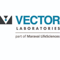 【Vector】H4000 免疫组化笔 现货