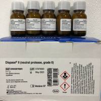 畅销Roche货号4942078001分散酶II上海睿安生物13611631389供应