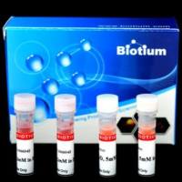 细菌活细胞和死细胞活力/细胞毒性检测试剂盒 30027