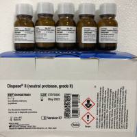现货Roche货号4942078001分散酶II上海睿安生物13611631389供应