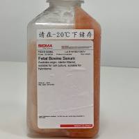 畅销供应Sigma货号F8318澳洲胎牛血清13611631389上海睿安生物