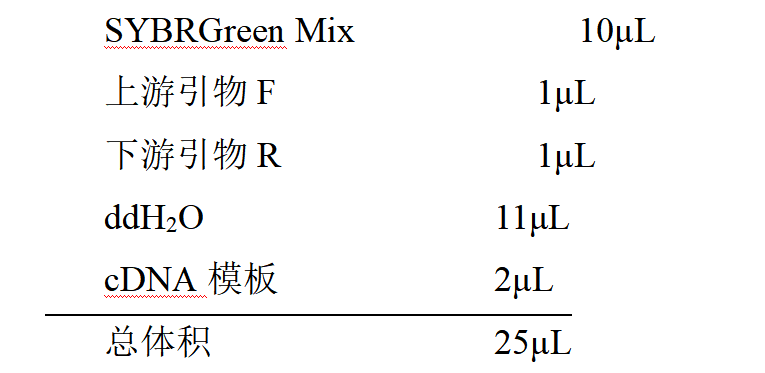 real-time pcr 实验步骤