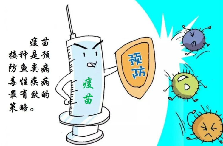 文献速递ㅣAniView 100多模式动物活体成像系统在鱼疫苗研发中的应用