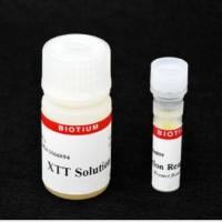 XTT细胞活力测定试剂盒 (1000 ASSAY) 30007