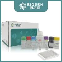 Bielschowsky组织块染法神经组织染色试剂盒