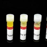 MTT细胞活力测定试剂盒 (1000 assays) 30006