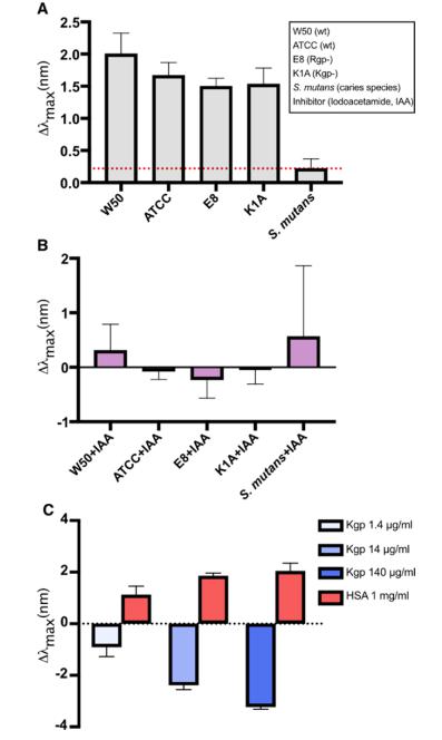 低氧/厌氧产品案例——人口腔致病菌牙龈卟啉单胞菌研究