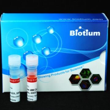 NucView 488和MitoView 633凋亡检测试剂盒 (100 assays) 30062