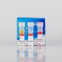 GloMelt™ 热位移蛋白稳定性试剂盒 33021-T