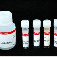 CASPASE3 DEVDR110  ASSAY (25 ASSAYS) 30008-1