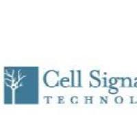Cell Signaling Technology, Inc (CST)品牌特约代理