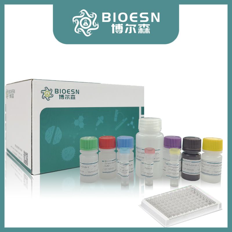 苏丹黑B与核固红复合染色法脂类物质染色试剂盒