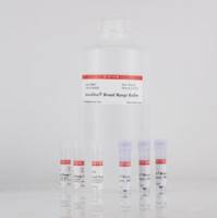 AccuBlue宽量程双链DNA定量溶液, trial size 31009-T