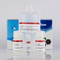 AccuGreen高灵敏度双链DNA定量试剂盒 (100 assays) 31066-T