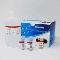 AccuBlue NextGen双链DNA定量溶液, Trial Size (200 assays