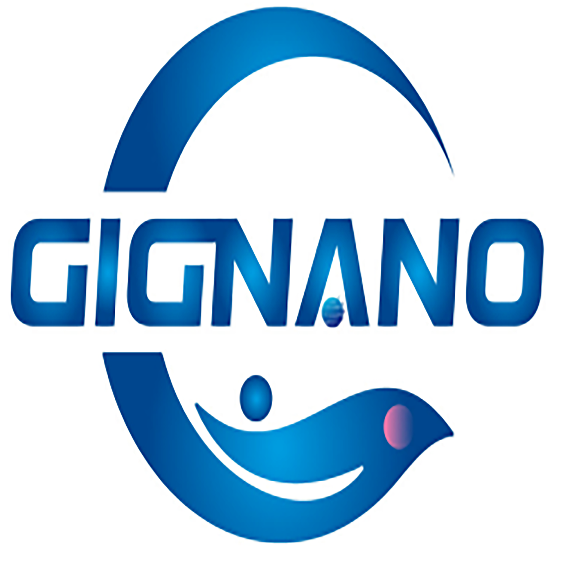 GiGNano氨基功能化纳米磁珠