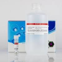 AccuGreen高灵敏度双链DNA定量溶液 (500 assays) 31068