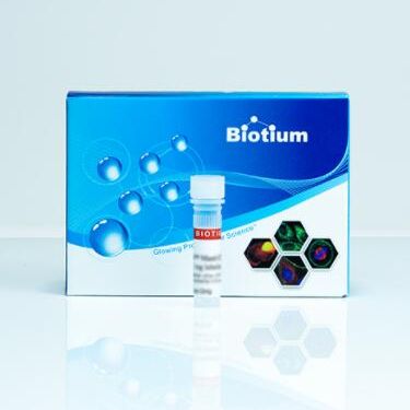 腔菌胺, 2-METHYL DERIVATIVE (MET 10122-1