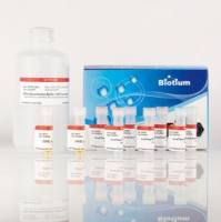 AccuClear超高灵敏度双链DNA定量试剂盒，带DNA标准，试验规模 (200 assays) 31028-T