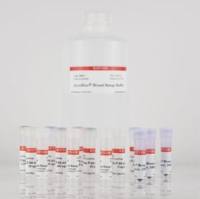 AccuBlue宽量程双链DNA定量试剂盒 with DNA Standard, trial