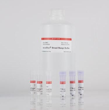 AccuBlue宽量程双链DNA定量溶液 31009
