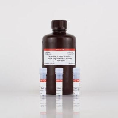 AccuBlue高灵敏度双链DNA定量溶液 31008
