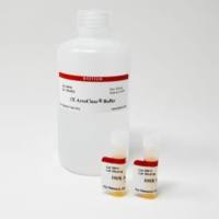 AccuClear超高灵敏度双链DNA定量溶液, Trial Size (200 assays
