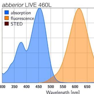 abberior LIVE 460L活细胞染料