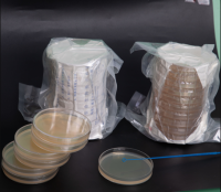 90mm乳酸杆菌选择性琼脂<乳酸菌检验系列>