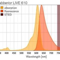 abberior LIVE 610活细胞染料