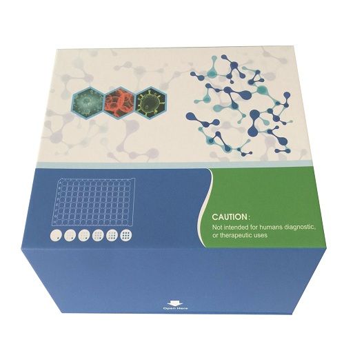 犬糖连抗原153(CA153)酶联免疫分析试剂盒说明书