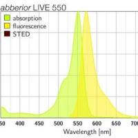 abberior LIVE 550活细胞染剂