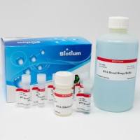 AccuBlue®宽范围RNA定量试剂盒 (1000 assays) 31073