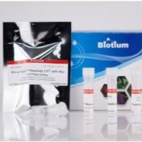 Mix-n-Stain™ Nanobody Labeling Kits CF568 纳米体标记试剂盒 92507